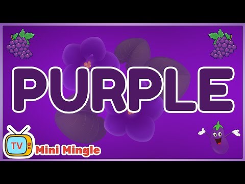 Color Purple | Learn the Color Purple with Examples for Kids