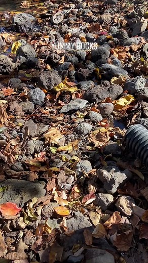 Rockhounding in Kentucky: Identifying Geode Rocks