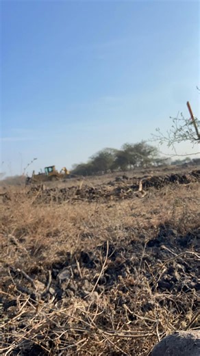 Heavy Machinery Insights: The Caterpillar D8 Dozer