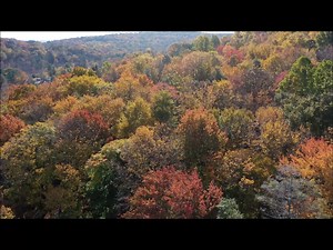 Harveys Lake at the foliage peak is a site to see. No other time of the year are the leaves this magnificent mix of colors and tones. Take an 8.25-mile drive and circle the lake for a spectacular view into fall, in Northeastern Pennsylvania. | The Harveys Lake Record