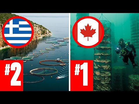 LARGEST Fish Farms In The World Nobody Knew About!