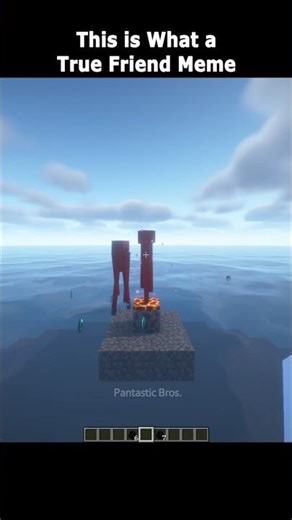 Minecraft True Friend Meme🤯