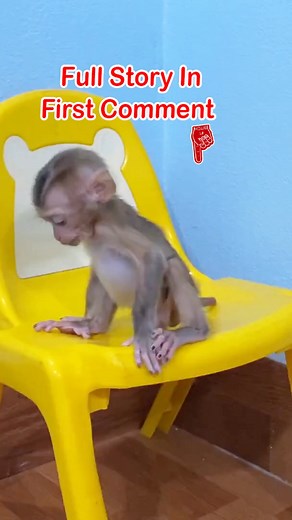 Oh… Hurry Up Mom I’m Out Of Poop- Po0p.mp4 | happy so smile