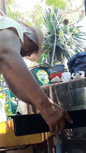 GARDENING FOR DUMMIES.