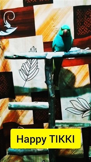 diy handmade bird stand