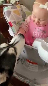 Kids vs Dogs Being Silly Together 🐶👦 | Funny Moments Compilation