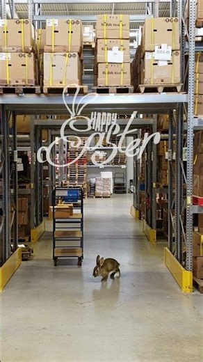 Ostergruß 2026 #shorts #ostern