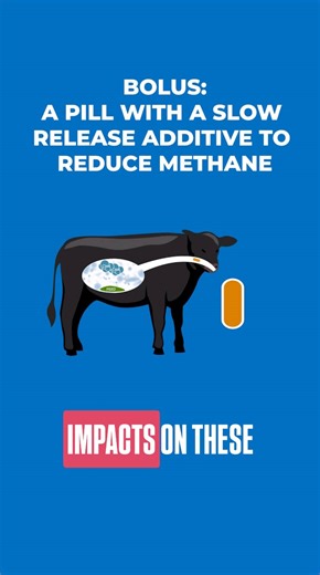 Research with real-world impact ‼️ Our team at the UC Davis CLEAR...