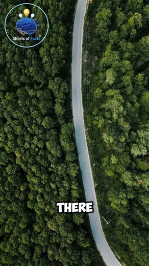 Nature is full of surprises 🌍💚 | Unbelievable Nature Facts #Shorts