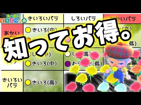【あつ森】花の交配と知識を"表付き"で徹底解説! レア花もあり！これ観れば楽できる！【あつもり/花の交配/攻略】【AnimalCrossing】