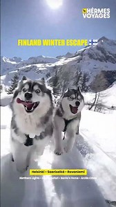 Chase the magic of Finland! From the Northern Lights to Arctic adventures...
