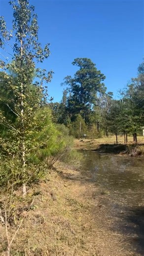 Work work work | Justin Murphy