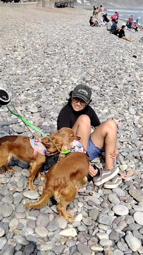 Alexei Romanov on TikTok