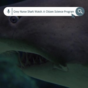 118 reactions · 4 comments | 麗 Dive into citizen science! Join us...