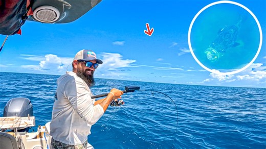 16K views · 231 reactions | Fishing with LIVE VIEW Camera to see what's below! Never before seen footage from Reel View Fishing! | Bearded Brad | Facebook