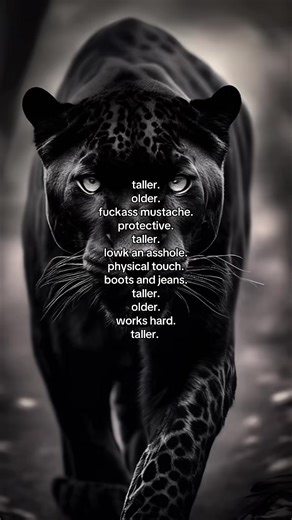 Taller, Older, Protective: What You're Looking For