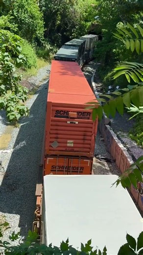 #CSX Westbound intermodals emerge from tunnel in Baltimore sunlight