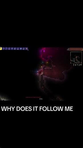 bigger and Boulder has blouders no ghoulder that follow you til your death #terraria #blouder #minecraft #viral #dontflop