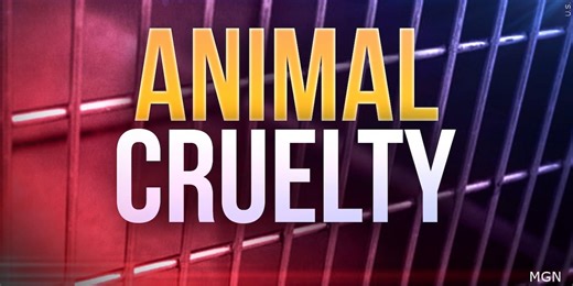 ‘One of the worst’: Two facing over 50 charges in connection to animal cruelty in Hamilton County