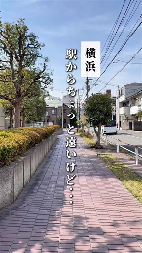 昭和54年創業！唯一無二の白いハンバーグが美味しいレストラン！ ◆ レストラン シン ◆ 1979年創業。根岸駅から徒歩20分ほどの住宅街にある 食べログ百名店にも選ばれた洋食レストランです。 駅からは少し歩くので暑いときなどは バスを使うのが良いです。 創業の父の味を2代目シェフが大切に引き継ぎ、 さらに進化させることを義務に取り組んでいるとのこと。 とにかく印象としてはお店の方がみんなにこやかで アットホームな空間が素敵な印象！ 帰る時の「ありがとうございました！」の 雰囲気などからお店を出てもルンルンな気分✨ お店の名物は「白いハンバーグ」 正式なメニュー名は「ハンバーグ 日本風」で 門外不出、秘伝のレシピで作った自家製ソースは 唯一無二とのこと。 個人的なものですけどこの味が僕にはドンピシャで 今まで食べたハンバーグの中でもTOPくらい好きでした。 醤油とパルメザンチーズをベースにしてるらしい？ 付け合わせの野菜も美味しく、さらにこのソースを絡めて食べるのが最高です。 デザートには人気の抹茶ババロアをいただきました。 開店と同時で1人ではすぐ入れたけど 予約が多い関係か1時間制