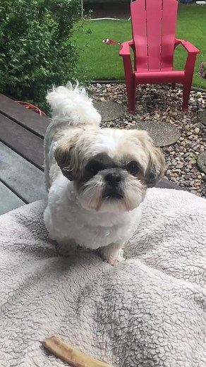 Tag your Idol, and if they don’t reply in 10 minutes they owe you a follow❤️😊