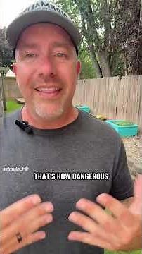 Why is K2 or spice so dangerous? I share for educational purposes only and to remind addicts that we