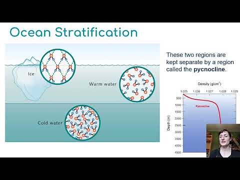 Oceans Part 1: Density & Stratification