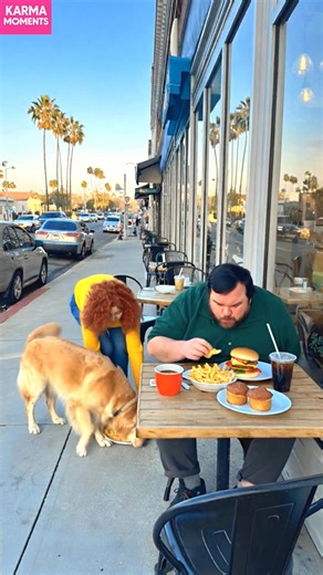 Dog's Bravery Shines Bright! A loyal dog saves a woman in need. #fblifestyle #AI Generated using Kling AI . . . (For entertainment purposes only. Consult professionals if guidance on activities is presented. No brand affiliation is implied if any are shown. If inspired by true events, creative adaptations may be included. Content may include public footage.) | Tips & Tricks