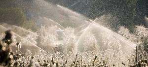 How to Winterize a Sprinkler System Mid-Winter | DoItYourself.com