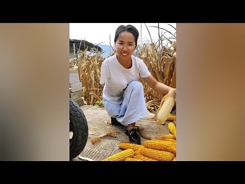OOE (Hip & Arm) Amputee Corn Farmer Girl Happily Working | Amputada | Amputacao