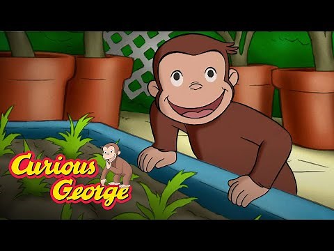 The Magic Garden 🐵 Curious George 🐵Kids Cartoon 🐵 Kids Movies 🐵Videos for Kids