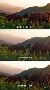 6K views · 5.4K reactions | The iPhone 16e is an underrated device that deserves more recognition... .. .. ... .... ...... #cameracomparison #pro #photography #oneplus #iphone14 #samsung #vivo | Quality Pic | Facebook