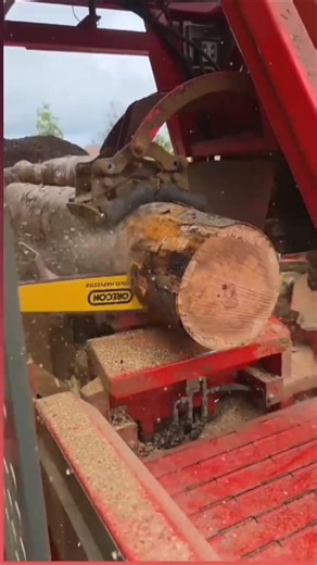 the process of cutting wood from logging #shorts