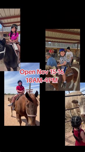 The Pony Ranch open Weekends 10AM-4PM #weekends #pettingzoo #ponyrides #kidfriendly #toddlerfriendly