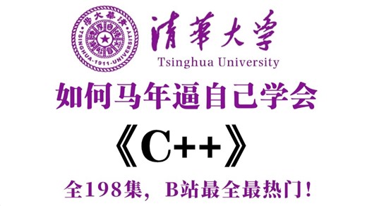 【整整198集】敢称全站最细，2026最新C  零基础入门教程，全程通俗易懂，带你一步步从零小白入门到大佬！