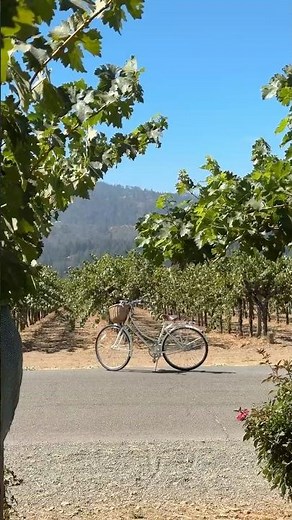 Solage Napa Valley | A Modern Retreat in the Heart of Wine Country