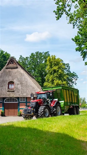 3. Grasschnitt