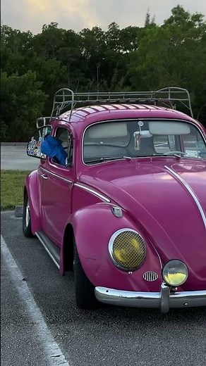 Beetles: Earth's most diverse insects!