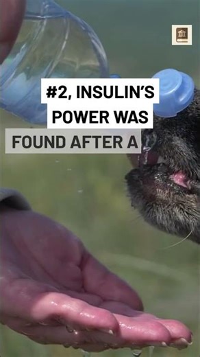 Top 3 Accidental Discoveries That Changed Medicine Forever