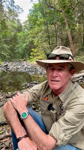 283K views · 8.6K reactions | If a tree falls in the forest, does anyone hear?… #crocturnbull #askanyaussie #aussie #australia Blessington & Co | Steve Turnbull | Facebook