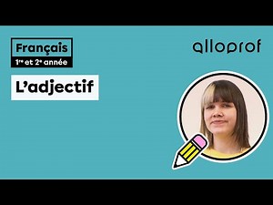 L’adjectif (1re et 2e année) | Français | Primaire