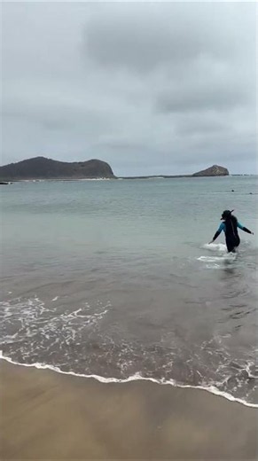 Diving into Galapagos, Responsible Travel South America from Maria E. 🇪🇨