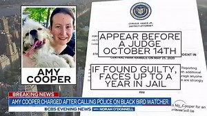 5.8K views · 145 reactions | Amy Cooper, a White woman seen on video angrily calling the police on a Black man in NYC's Central Park, is facing a misdemeanor charge. Manhattan’s district attorney announced Monday that Cooper is being prosecuted for “falsely reporting an incident.” | CBS Evening News | Facebook