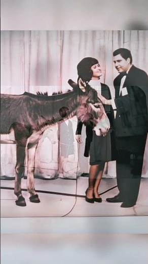 The 50-Year Legacy of Sabado Gigante