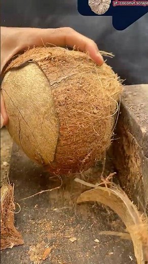 Good way to remove coconut meat from its shell