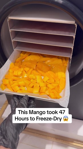 Crispy Dried Fruits على TikTok