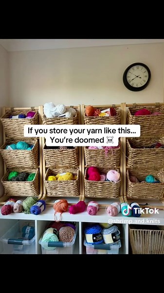 Moths. Carpet beetles. Cockroaches. They’re all waiting for their invitation and you just gave it to them. 🫠 I’m providing more yarn storage tips soon! Follow to stay informed. If it’s not sealed, it’s not safe. This is your seasonal reminder to protect your stash!! Pests love warm, cozy corners too 🐜🪳🐛🦋 #crochet #yarnstorage #knitting #pestcontrol #psa