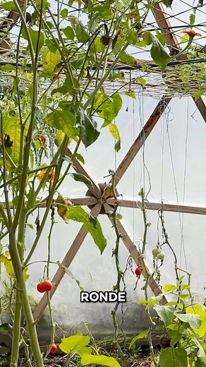 Elle fabrique un dôme géodésique pour créer une serre d'abondance | L'ArchiPelle