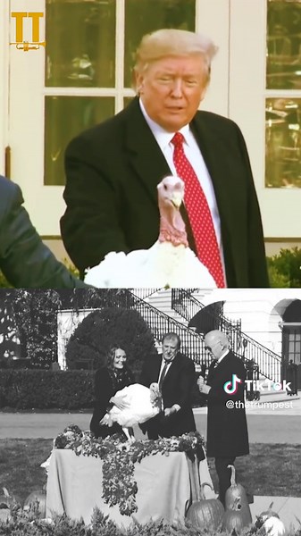 Turkey Pardoning: Trump vs. Biden Comparison