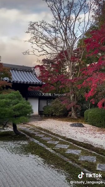 📍10 Recommended Spots in Kyoto in Autumn / 秋の京都オススメスポット10選 1.永観堂 / Eikando 2.叡山電車 / Eizan train 3.貴船神社 / Kifune shrine 4.金閣寺 / Kinkakuji golden temple 5.清水寺 / Kiyomizu temple 6.天龍寺 / Tenryuji 7.天授庵 / Tenjyuan 8.南禅寺 / Nanzenji 9.三千院 / Sanzenin 10.瑠璃光院 / Rurikoin #京都 #교토 #japan #日本 #神社 #trip #여행 #旅行 #reels #京都観光 #日本旅行 #일본여행 #kyoto #traveljapan #fff #visitjapanjp #瑠璃光院 #旅行スポット紹介 #紅葉スポット #紅葉 #もみじ #rurikoin #そうだ京都行こう #秋の京都 #永観堂 #eikando #大原三千院 #ohara